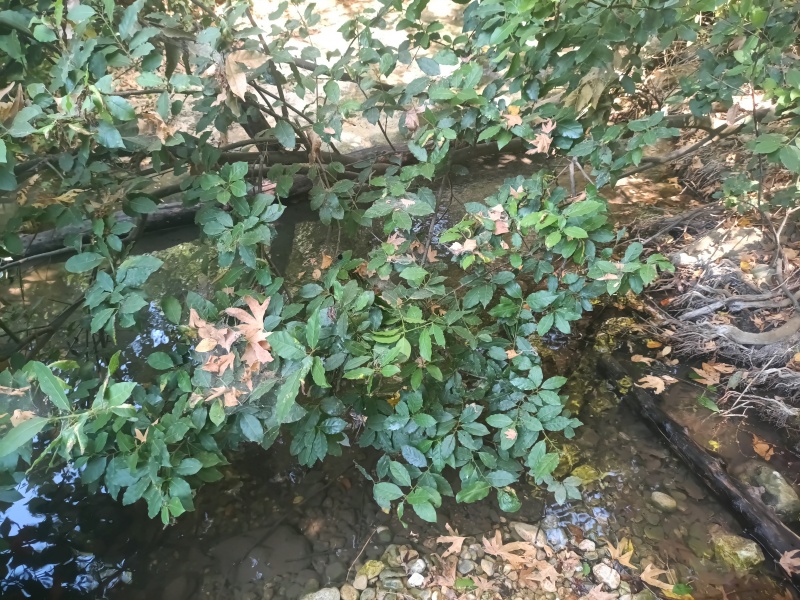 קובץ:2025-07-17T14 53 19.995418966220.jpg