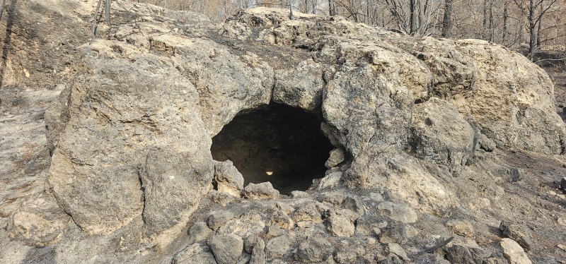 קובץ:2025-07-26T07 53 16.99416857076.jpg