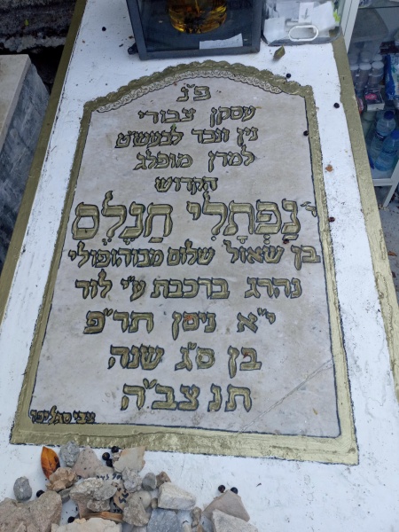 קובץ:2025-07-29T09 31 42.516515779594.jpg