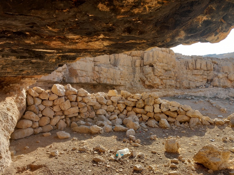 קובץ:2025-08-04T07 53 14.113814101502.jpg