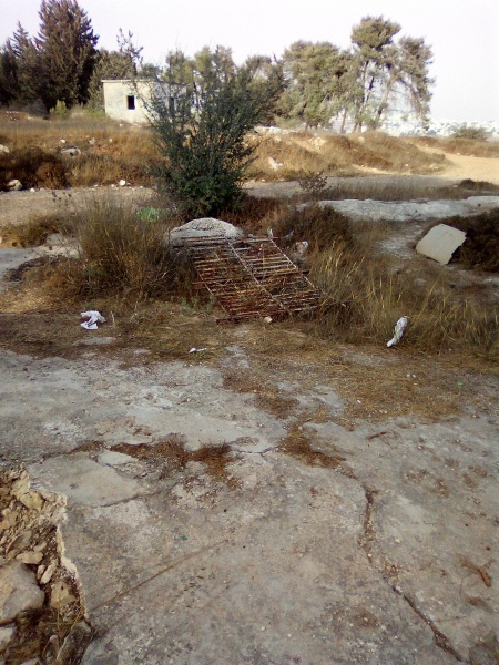 קובץ:2025-08-10T17 53 43.504507669361.jpg