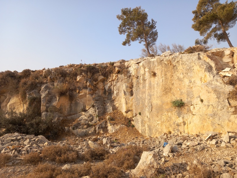 קובץ:2025-08-13T07 53 54.501444602481.jpg