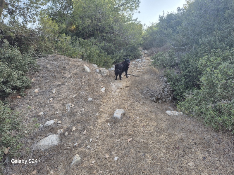 קובץ:2025-08-15T07 53 57.236300210683.jpg