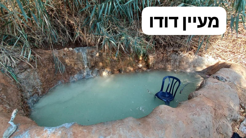 קובץ:2025-08-21T02 53 22.37873079216.jpg