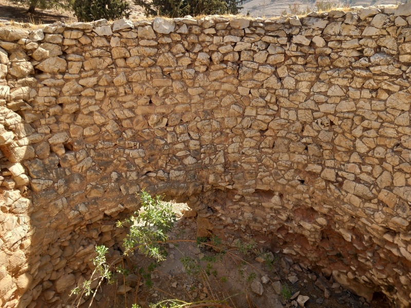 קובץ:2025-08-24T09 53 58.462920908504.jpg