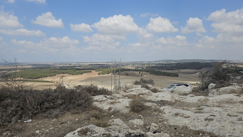 קובץ:2025-09-08T11 53 13.876429731154.jpg