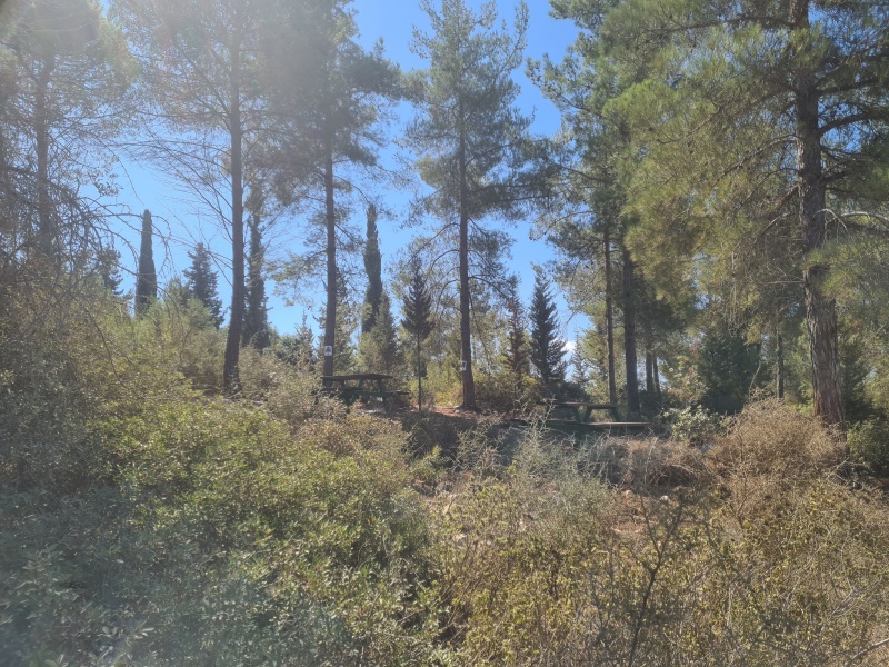 קובץ:2025-09-13T11 05 13.427934730003.jpg