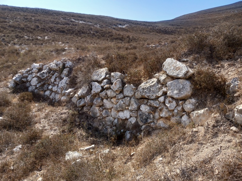 קובץ:2025-09-22T10 53 27.738215771128.jpg