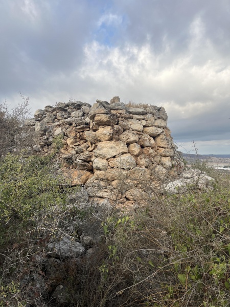 קובץ:2025-10-12T07 53 48.851825897385.jpg