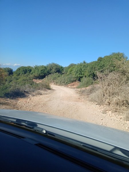 קובץ:2025-10-14T09 59 39.972730779293.jpg