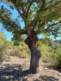 2025-10-14T10 29 53.155780422035.jpg