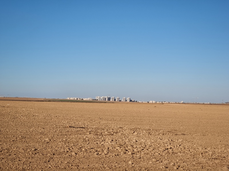 קובץ:2025-10-15T16 53 20.270879407624.jpg