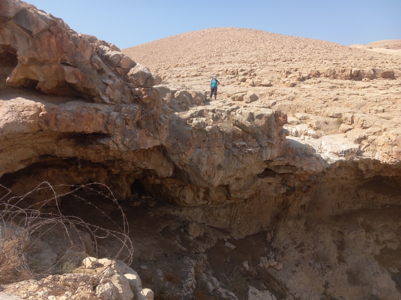 קובץ:2025-10-17T11 53 35.705883769157.jpg