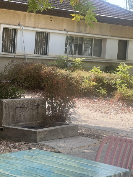 קובץ:2025-10-20T10 53 23.955331172900.jpg