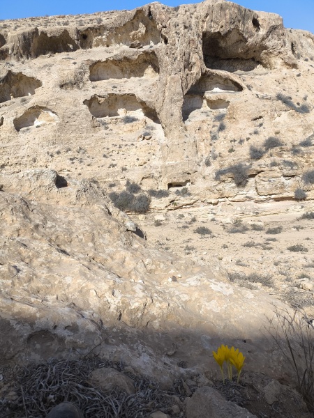 קובץ:2025-10-24T10 31 28.577690742657.jpg