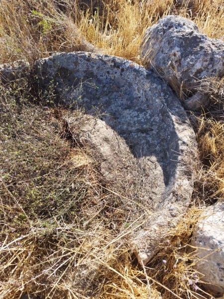 קובץ:2025-10-31T09 53 53.424729382555.jpg