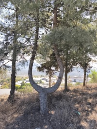 2025-11-01T09 53 22.864069215301.jpg