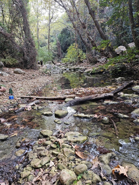 קובץ:2025-11-08T10 53 25.842634813377.jpg