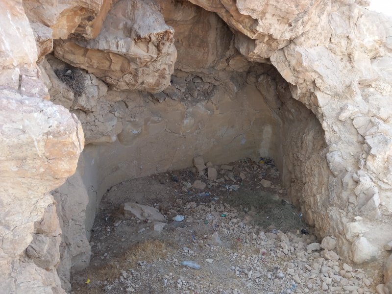 קובץ:2025-11-08T14 53 36.231699666424.jpg