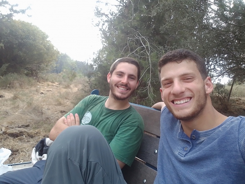 קובץ:2025-11-11T11 41 51.911950150737.jpg