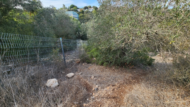 קובץ:2025-11-12T13 53 07.776812425390.jpg