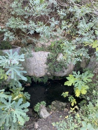 2025-11-24T09 53 13.880595918295.jpg