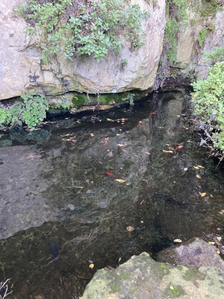 קובץ:2025-11-24T09 53 30.842725628933.jpg