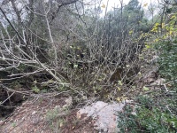 2025-12-13T12 02 32.300948378183.jpg