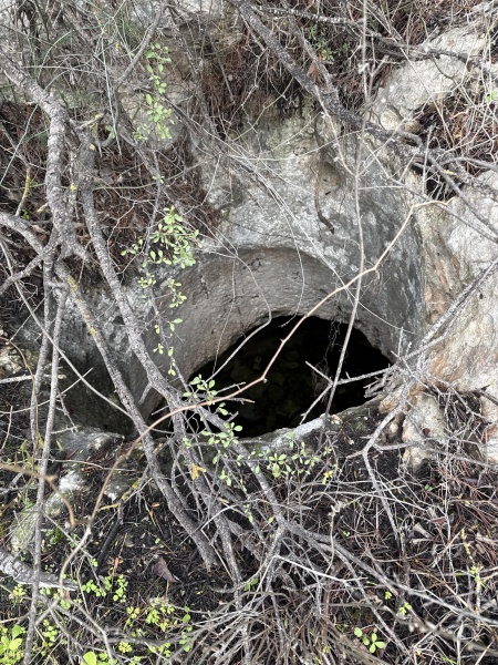 קובץ:2025-12-13T14 53 32.30372989697.jpg