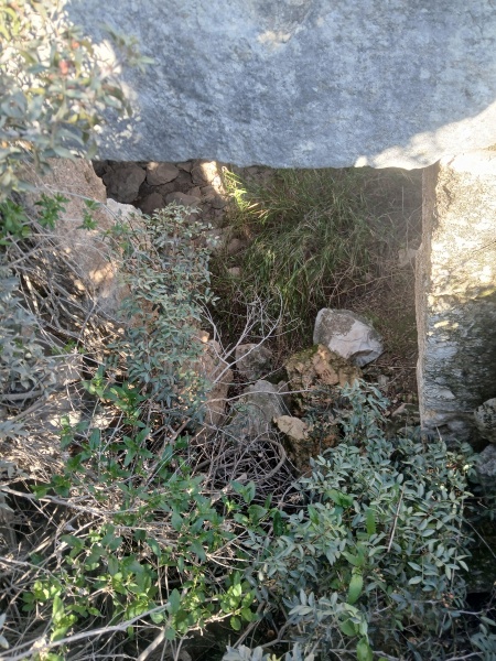 קובץ:2025-12-18T12 53 23.180831272164.jpg