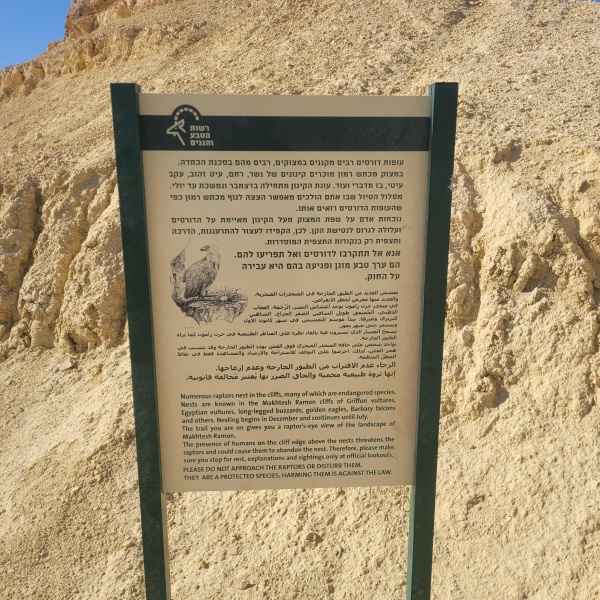 קובץ:2025-12-26T11 53 36.627942334033.jpg