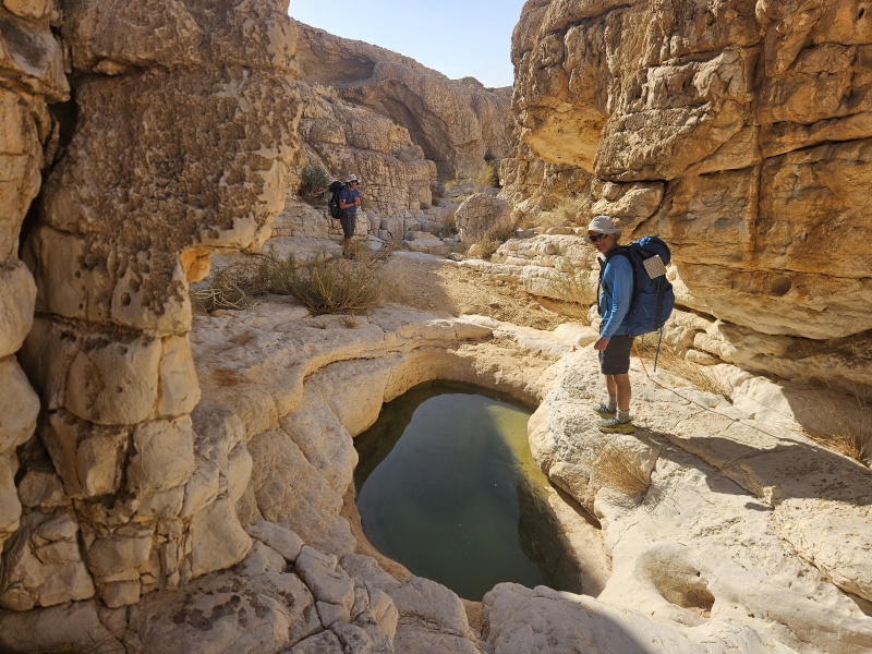 קובץ:20250531 075122.jpg