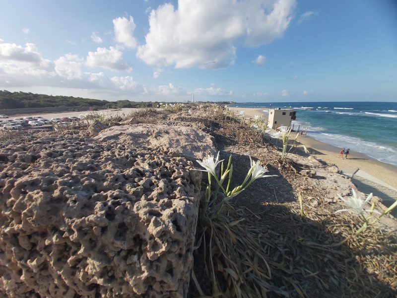 קובץ:20250919 083819.jpg