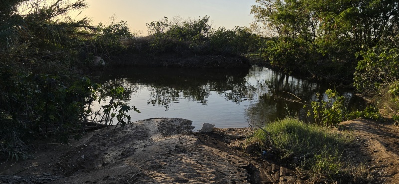 קובץ:2026-01-05T15 53 15.342887403179.jpg