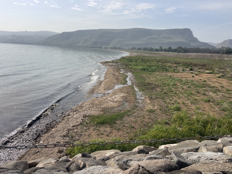 קובץ:2026-01-08T10 53 05.618095508888.jpg