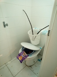 2026-01-13T14 53 30.874625750610.jpg