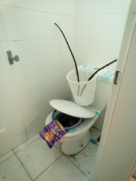 קובץ:2026-01-13T14 53 30.874625750610.jpg