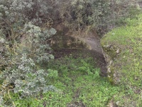 2026-01-23T12 53 08.347901622982.jpg