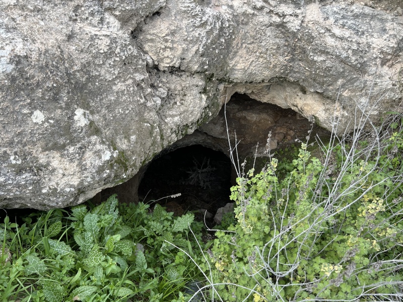 קובץ:2026-01-24T13 53 34.824057596884.jpg