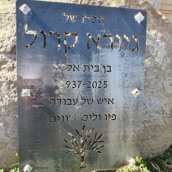 קובץ:2026-02-04T12 53 23.753656921528.jpg