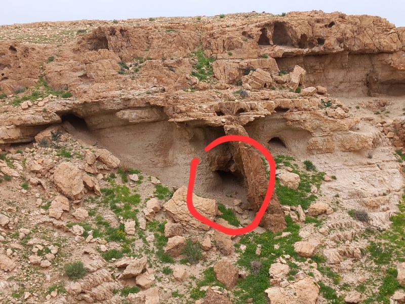 קובץ:2026-02-06T07 41 47.814788198651.jpg