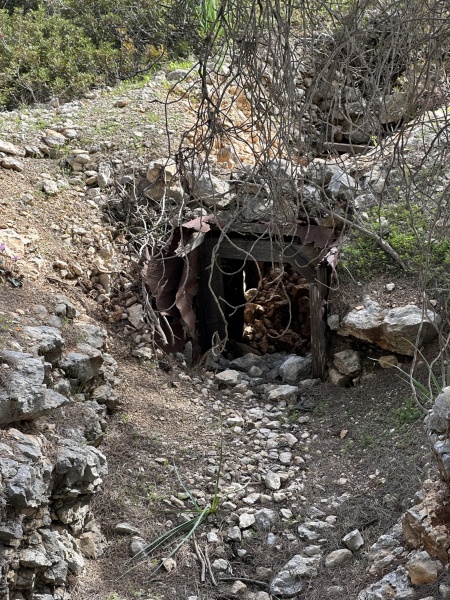 קובץ:2026-02-07T13 53 17.26643968222.jpg