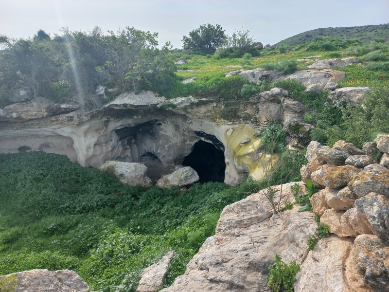 קובץ:2026-02-13T09 53 27.811219737729.jpg