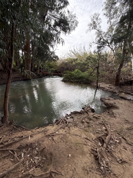 קובץ:2026-02-16T14 53 26.067841546559.jpg