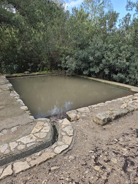 קובץ:2026-02-26T08 53 30.205765455592.jpg