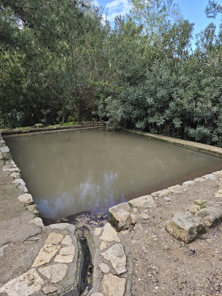 קובץ:2026-02-26T08 53 57.908835146477.jpg