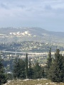 תמונה ממוזערת לגרסה מתאריך 14:57, 8 במאי 2026