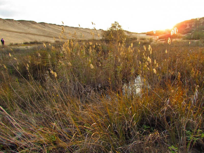 קובץ:Ashdod-16.jpg