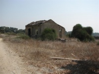 Chefziba Hadera - abandon house (Large).jpg