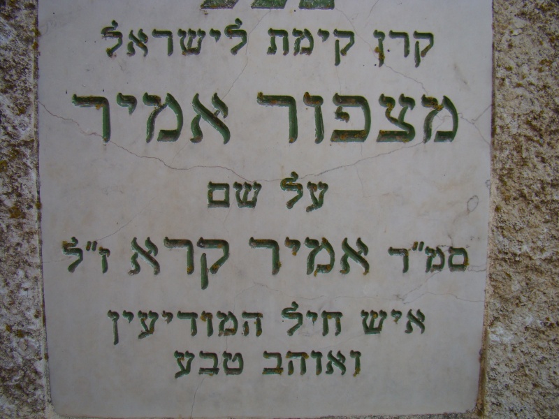 קובץ:DSC07528.JPG